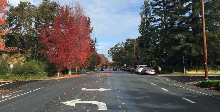 Hopkins Ave in Redwood City